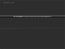 Tablet Screenshot of bandic.com
